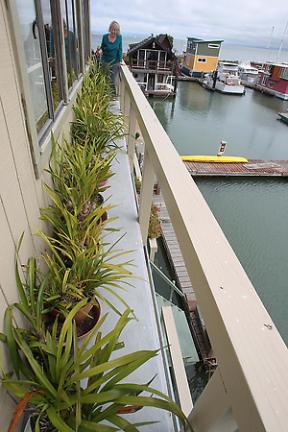 Point San Pablo Yacht Harbor resident's complain of firing range noise
